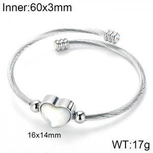 Stainless Steel Wire Bangle - KB103134-K