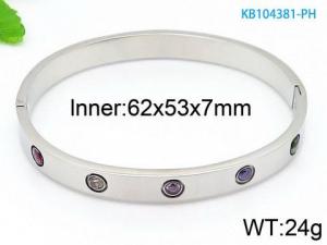 Stainless Steel Stone Bangle - KB104381-PH