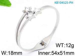 Stainless Steel Bangle - KB104525-PH