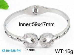 Stainless Steel Stone Bangle - KB104588-PH