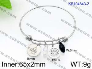 Stainless Steel Bangle - KB104843-Z