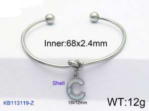 Stainless Steel Bangle - KB113119-Z