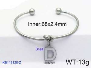 Stainless Steel Bangle - KB113120-Z