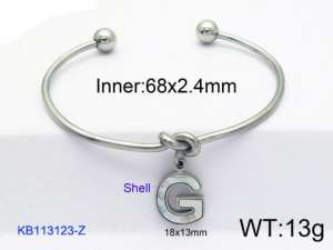 Stainless Steel Bangle - KB113123-Z