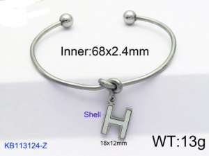 Stainless Steel Bangle - KB113124-Z