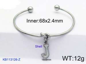 Stainless Steel Bangle - KB113126-Z