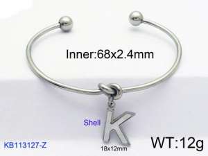 Stainless Steel Bangle - KB113127-Z