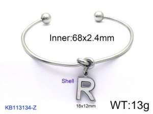 Stainless Steel Bangle - KB113134-Z