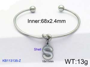 Stainless Steel Bangle - KB113135-Z
