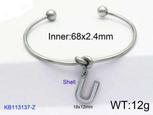 Stainless Steel Bangle - KB113137-Z