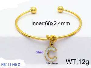 Stainless Steel Gold-plating Bangle - KB113145-Z