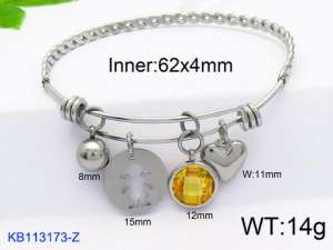 Stainless Steel Bangle - KB113173-Z