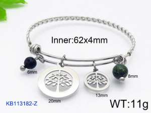 Stainless Steel Bangle - KB113182-Z
