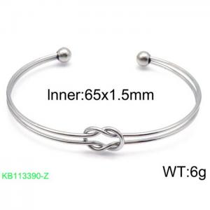 Stainless Steel Bangle - KB113390-Z