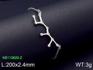 Stainless Steel Bracelet(women) - KB113620-Z