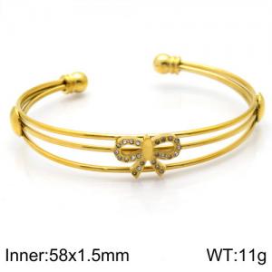 Stainless Steel Stone Bangle - KB115781-GC