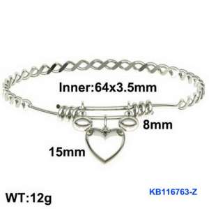 Stainless Steel Bangle - KB116763-Z