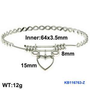 Stainless Steel Bangle - KB116763-Z