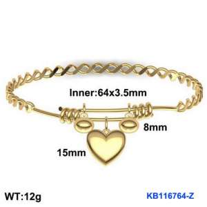 Stainless Steel Gold-plating Bangle - KB116764-Z