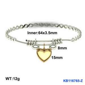 Stainless Steel Bangle - KB116765-Z