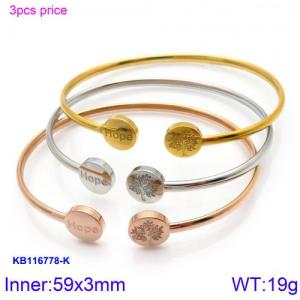 Stainless Steel Rose Gold-plating Bangle - KB116778-KPD