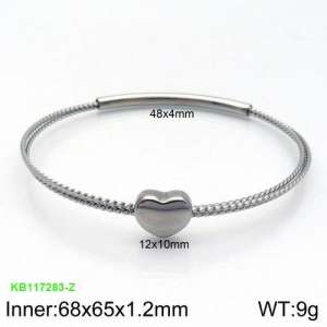 Stainless Steel Bangle - KB117283-Z
