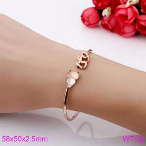 Stainless Steel Rose Gold-plating Bangle - KB118527-K