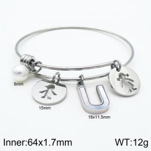 Stainless Steel Bangle - KB119037-Z