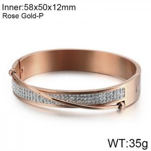 Stainless Steel Stone Bangle - KB120016-KFC