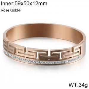 Stainless Steel Stone Bangle - KB120863-KFC