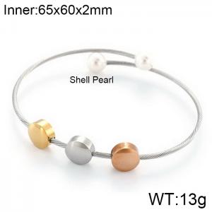 Stainless Steel Wire Bangle - KB120870-KFC