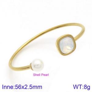 Stainless Steel Stone Bangle - KB123001-K