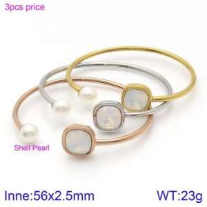 Stainless Steel Stone Bangle - KB123003-K