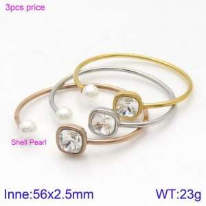 Stainless Steel Stone Bangle - KB123007-K