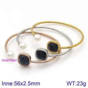 Stainless Steel Stone Bangle - KB123011-K