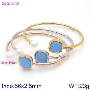 Stainless Steel Stone Bangle - KB123015-K