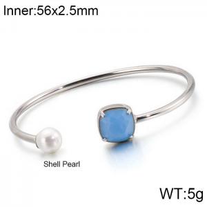 Stainless Steel Stone Bangle - KB123024-K