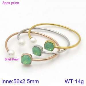 Stainless Steel Stone Bangle - KB123031-K