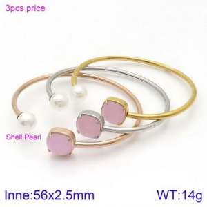 Stainless Steel Stone Bangle - KB123035-K