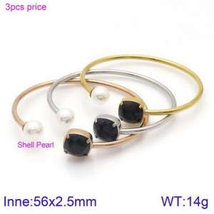 Stainless Steel Stone Bangle - KB123039-K