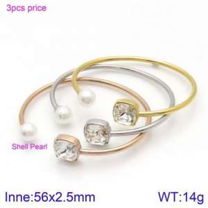 Stainless Steel Stone Bangle - KB123043-K