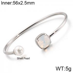 Stainless Steel Stone Bangle - KB123044-K