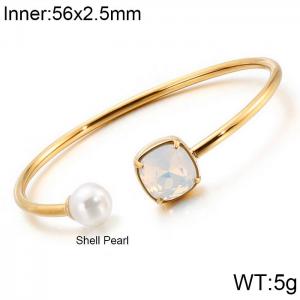 Stainless Steel Stone Bangle - KB123045-K