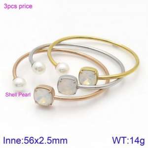 Stainless Steel Stone Bangle - KB123047-K