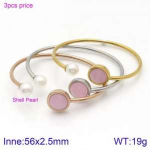 Stainless Steel Stone Bangle - KB123051-K