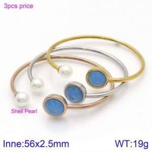 Stainless Steel Stone Bangle - KB123055-K