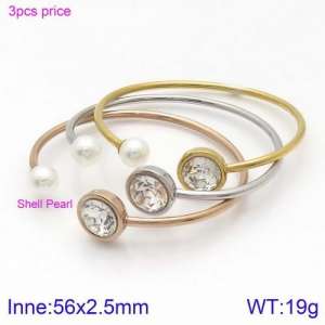 Stainless Steel Stone Bangle - KB123067-K