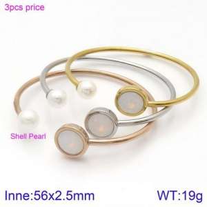 Stainless Steel Stone Bangle - KB123071-K