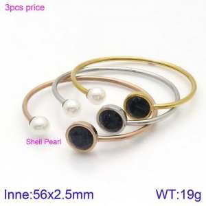 Stainless Steel Stone Bangle - KB123075-K