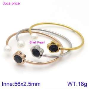 Stainless Steel Stone Bangle - KB123087-K